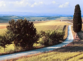 Foto Crete Senesi